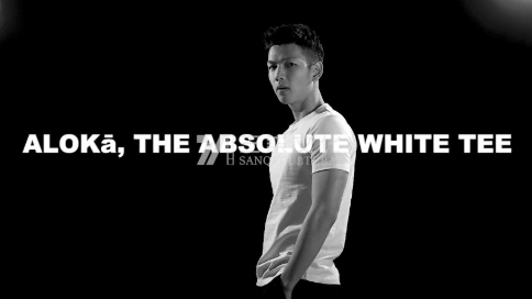服装广告-白T宣传视频