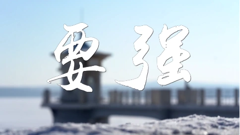 灵音男421号老师配音作品 2023中国长春净月潭瓦萨国际滑雪节