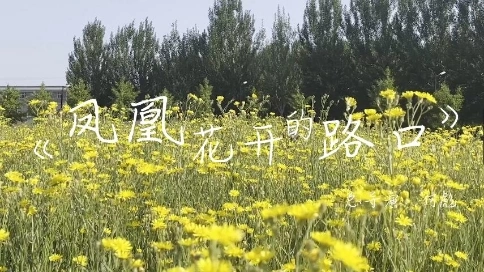 畢業(yè)紀(jì)念視頻