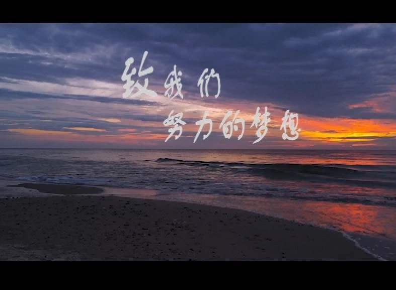 致我们努力的梦想