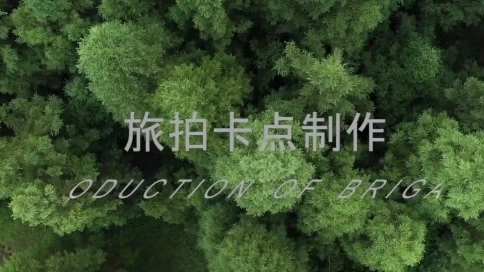 旅拍卡点视频后期制作