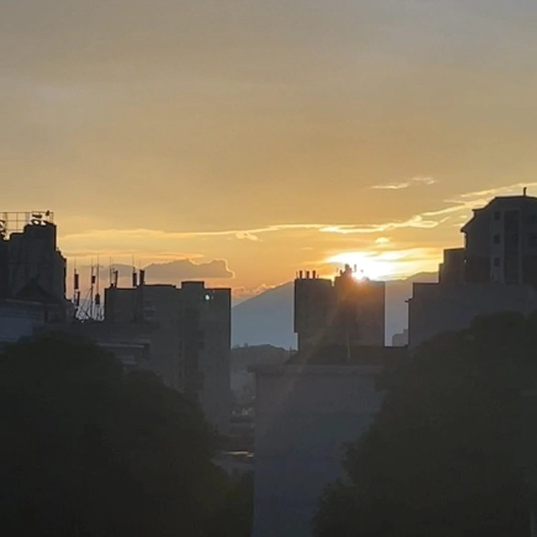 我是热烈的红玫瑰