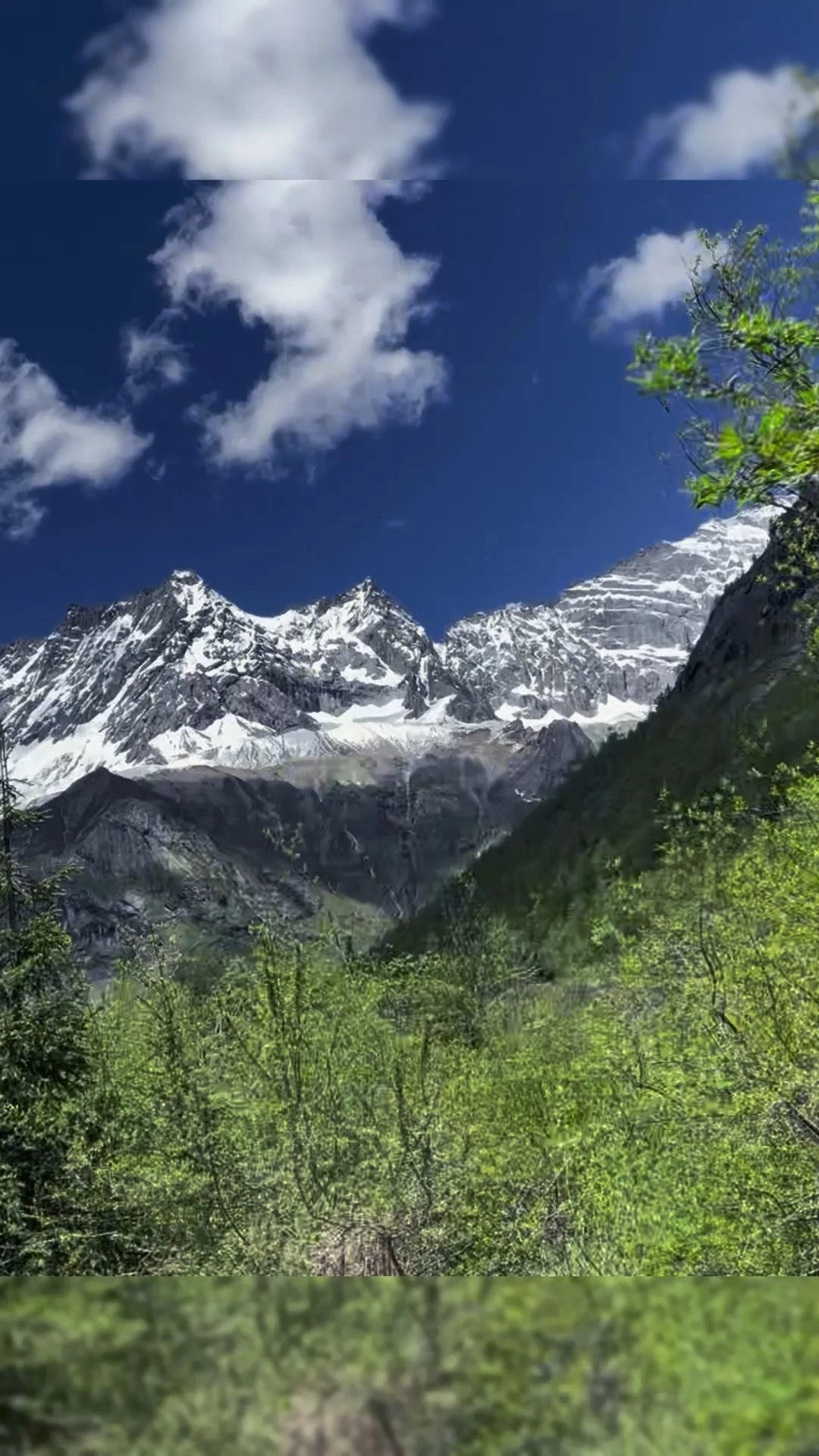 视频拍摄、剪辑小能手