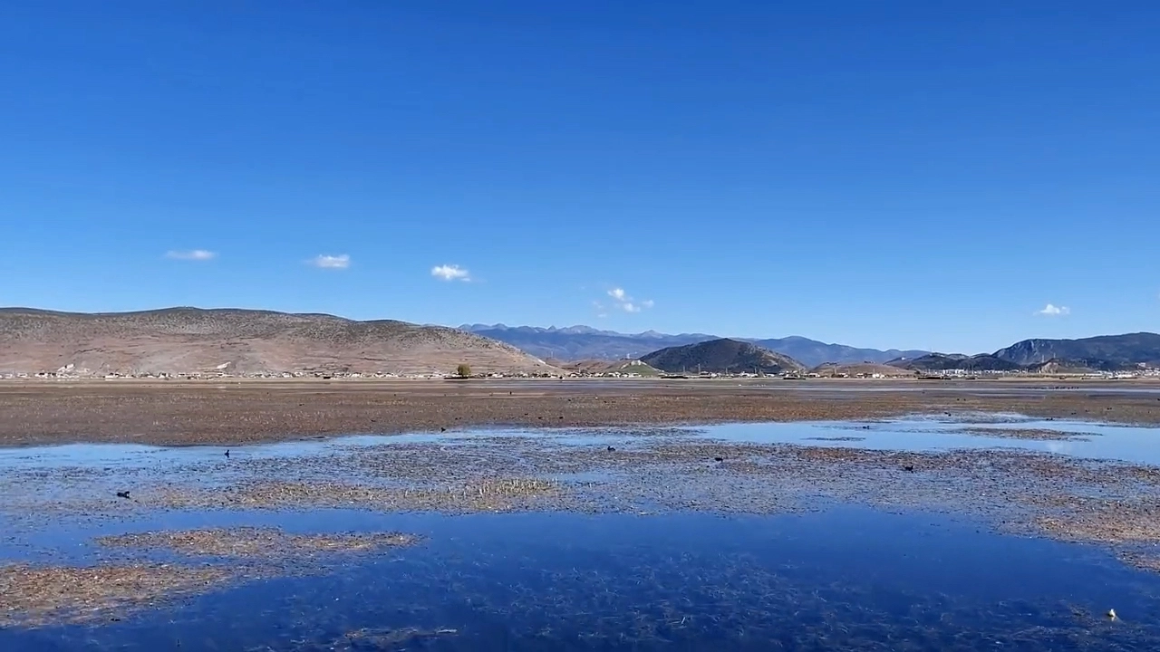 香格里拉納帕海