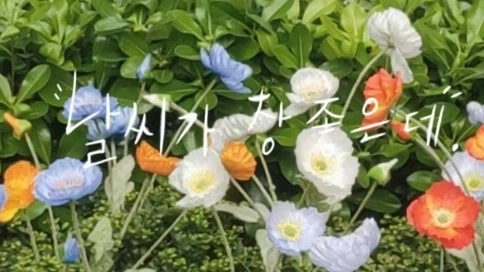信息流視頻