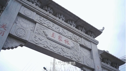 美丽庭院建设师范案例