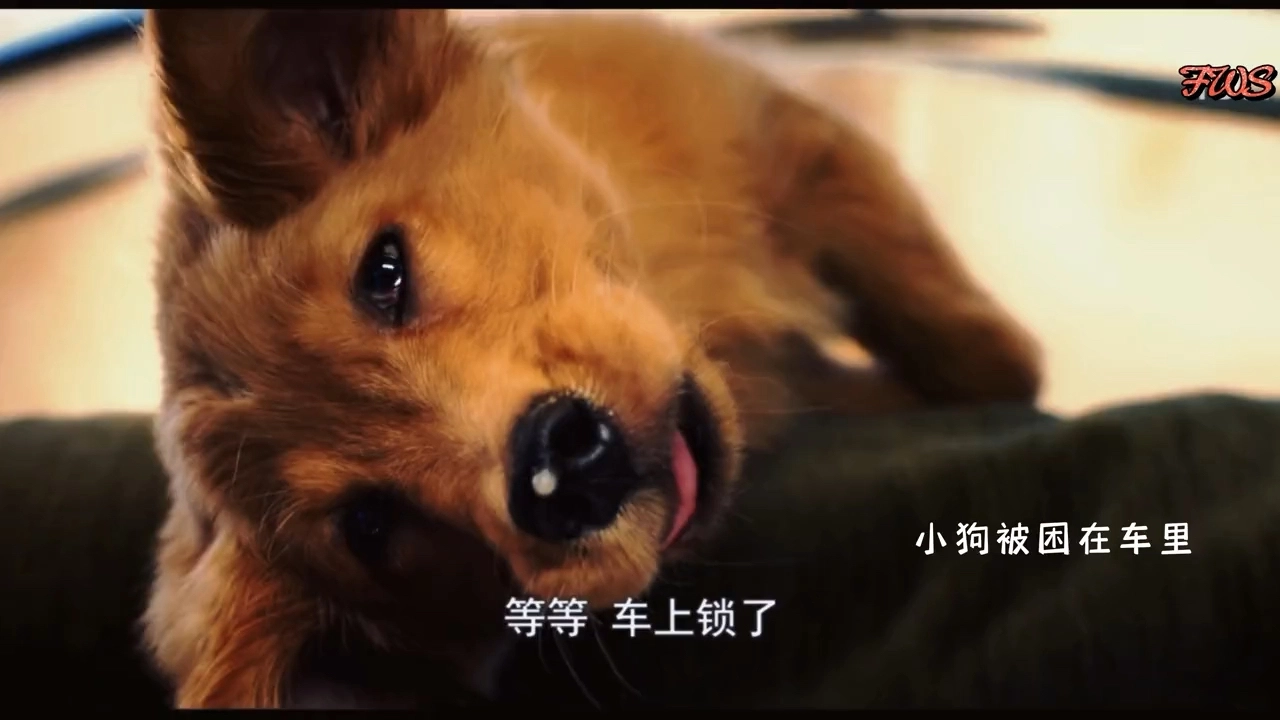 影視剪輯
