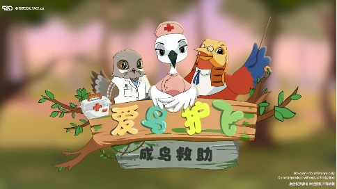 [原创动画制作]鸟类保护：成鸟救助 宣传片