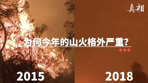 聚焦美國山火：山火肆虐 史無前例