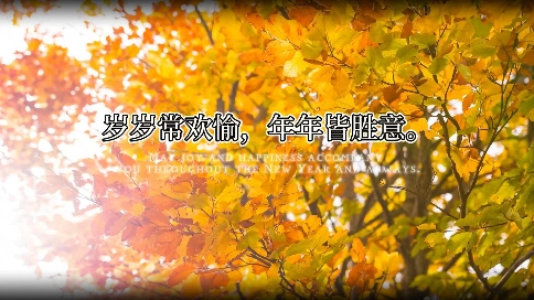 自然风景/秋天