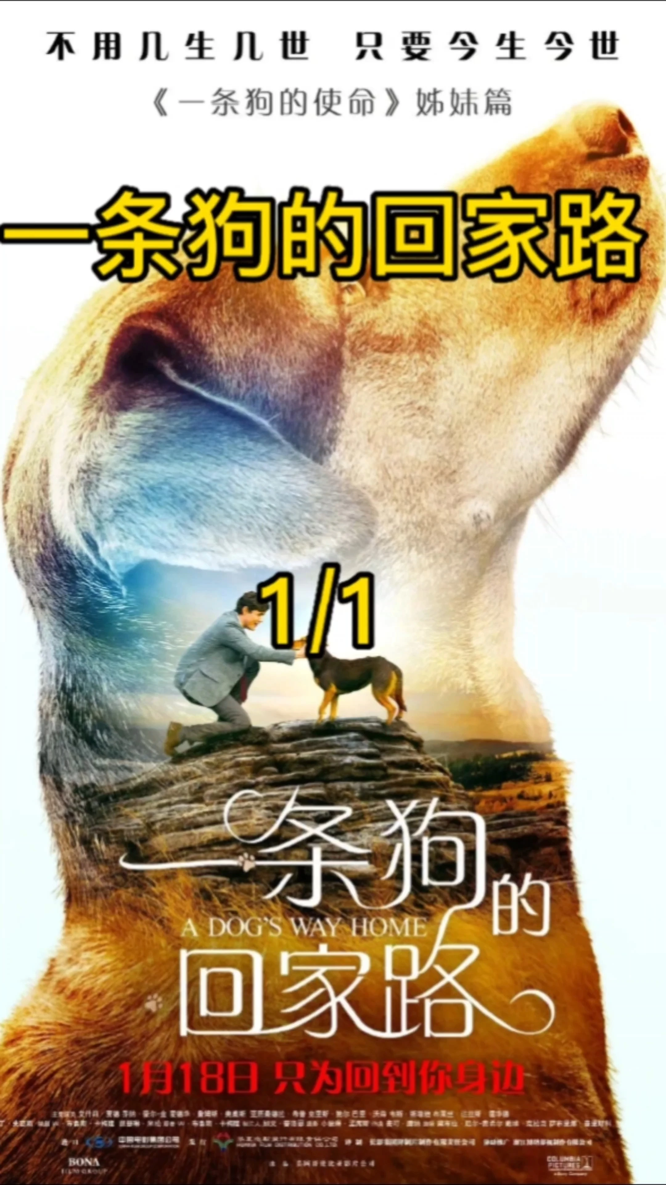 電影解說