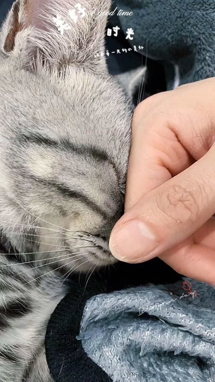 蹭蹭