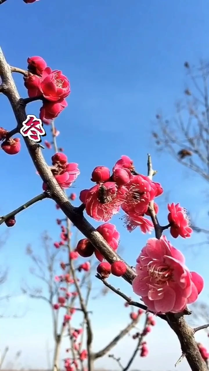 #界面玩法合集 #日常生活碎片 #唯美溶