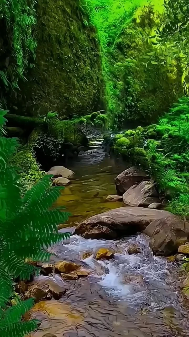 青山綠水瀑布自然風(fēng)景