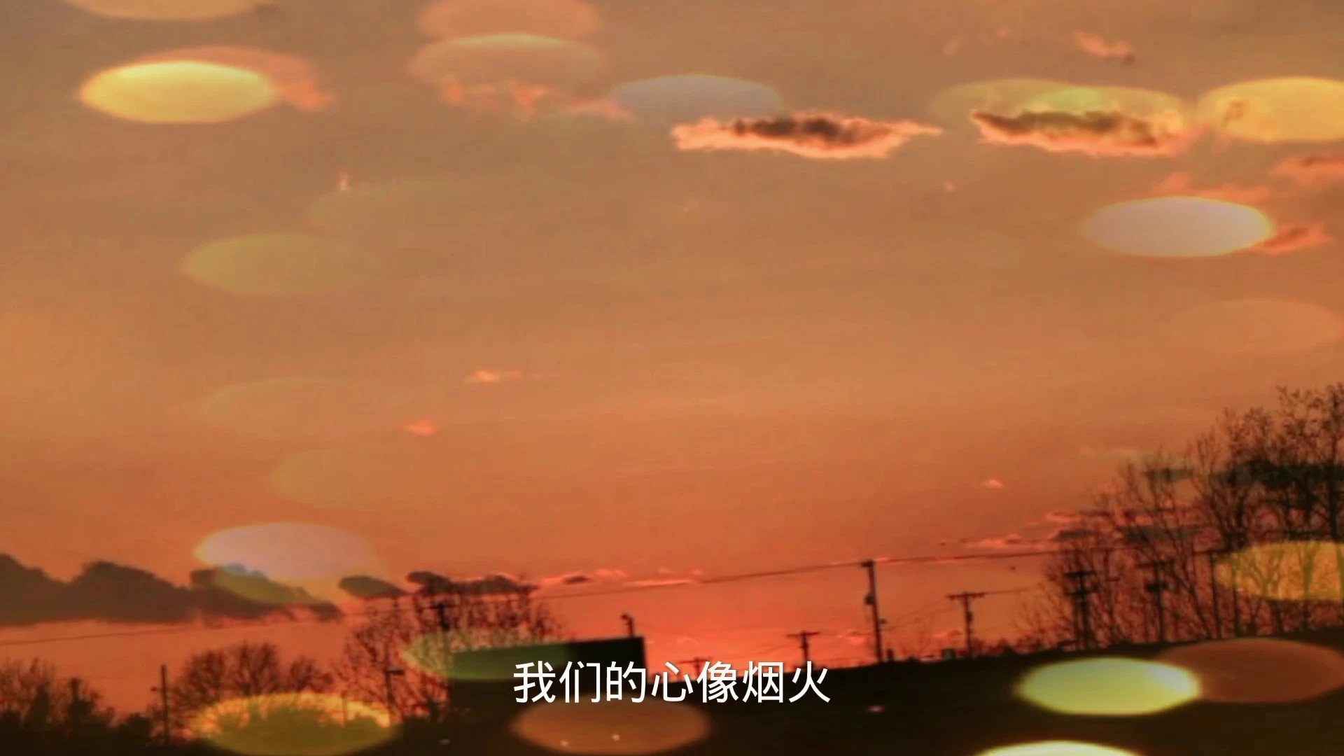 你又問他為什么會(huì)枯萎