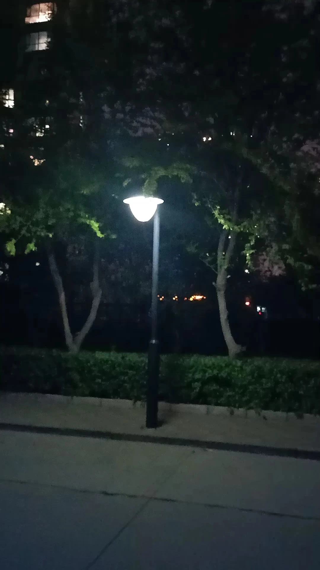 某天