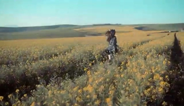 視頻精剪—Field