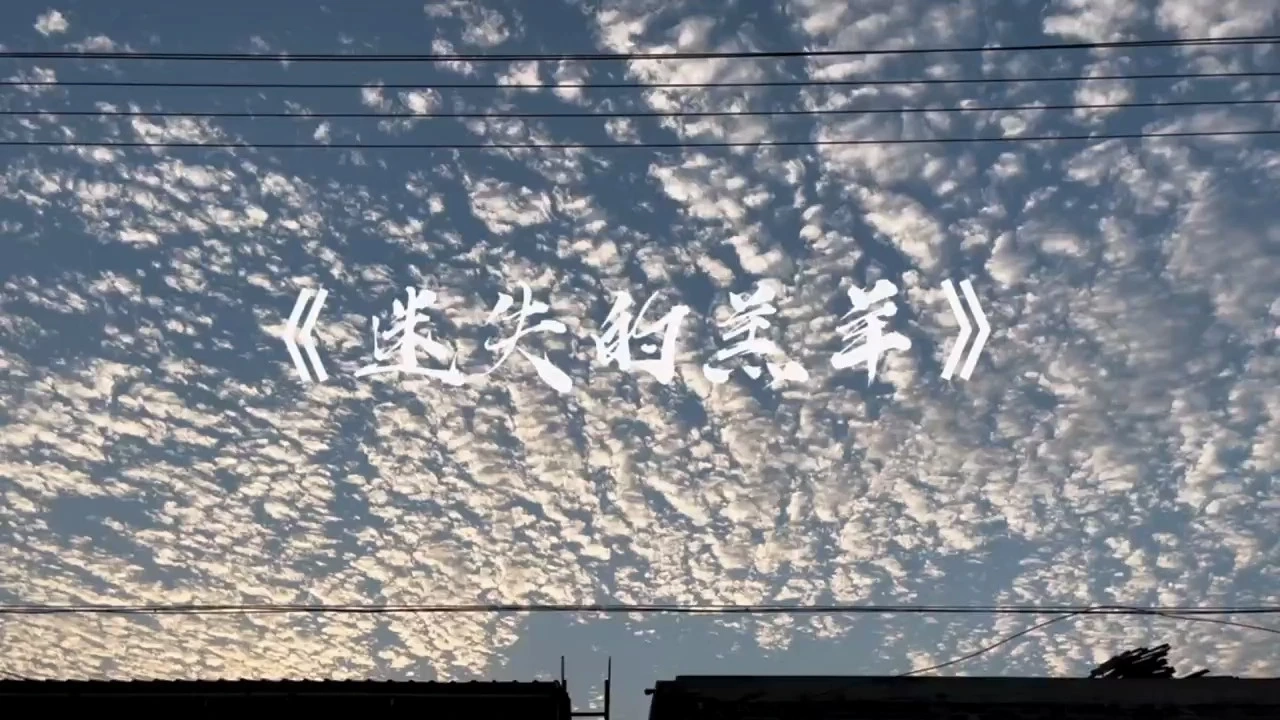 自在