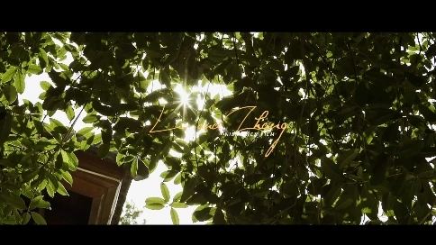 婚禮電影mv