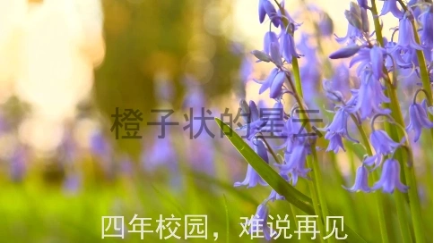 畢業(yè)種類視頻