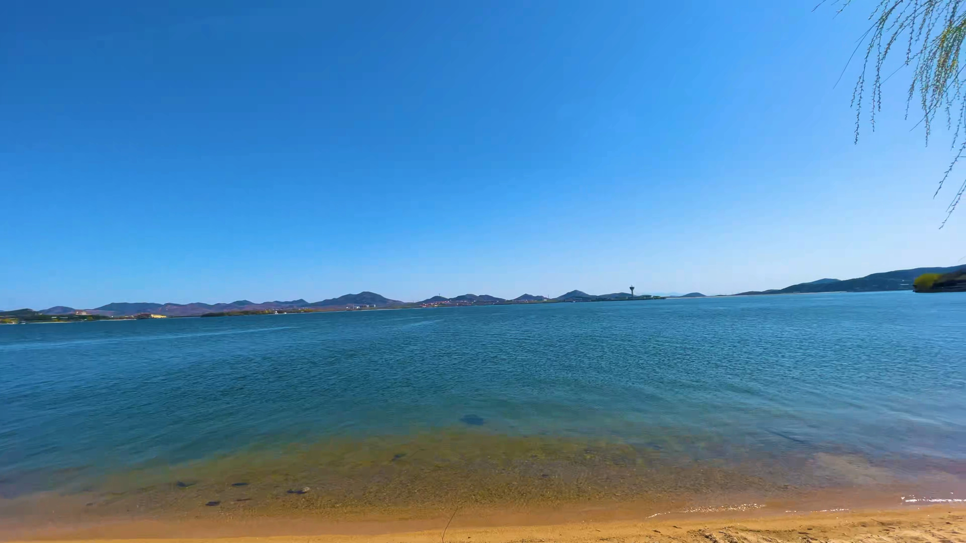 旅拍