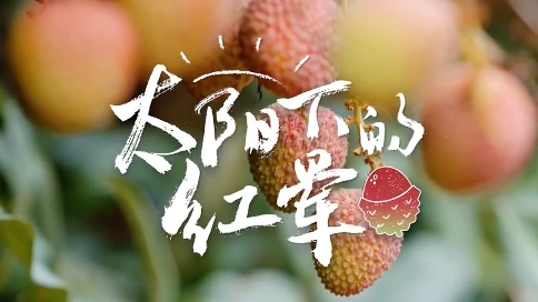泉鳴 女351號(hào)老師配音作品 京東七鮮產(chǎn)地直采鎖定第一口鮮