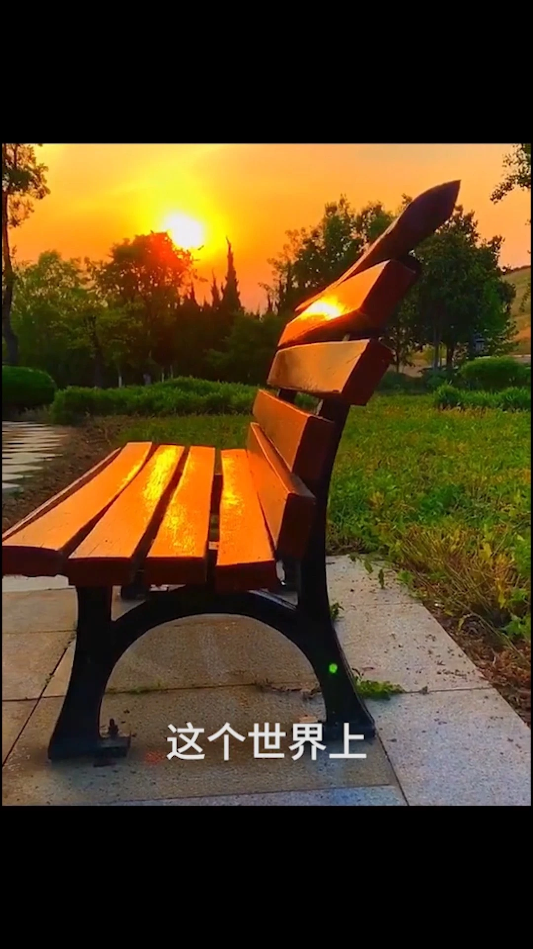 pr剪輯