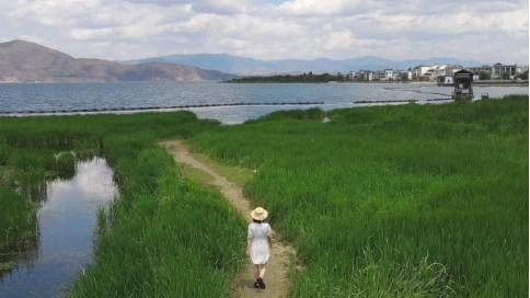 【夏日入侵】宮崎駿的夏天來了