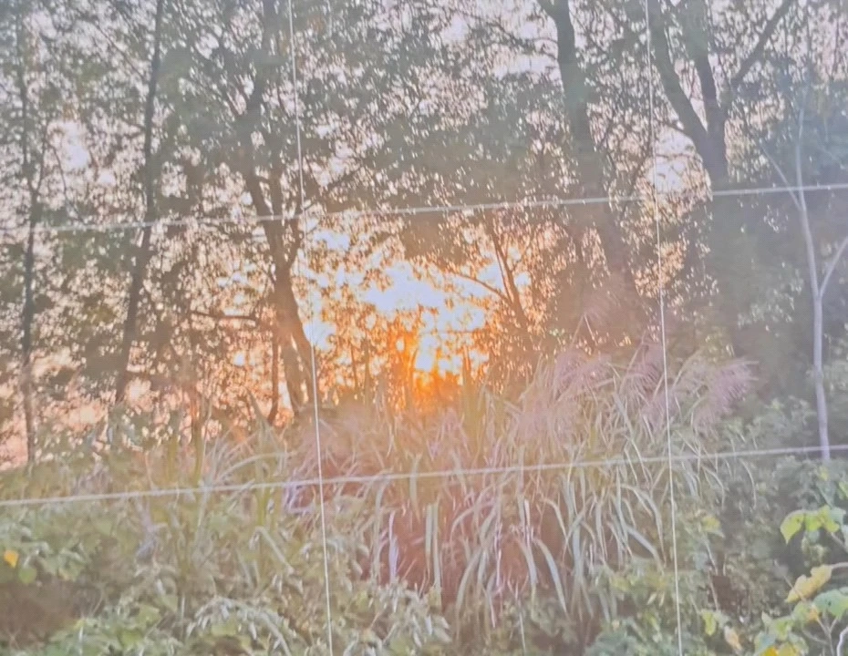 一縷春風(fēng)寄華夏，且將歲月贈(zèng)山河