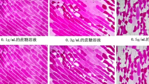 視頻微課剪輯，客戶滿意