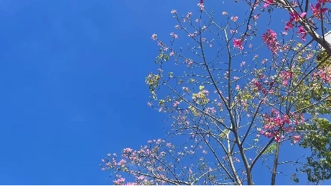 旅游卡點！