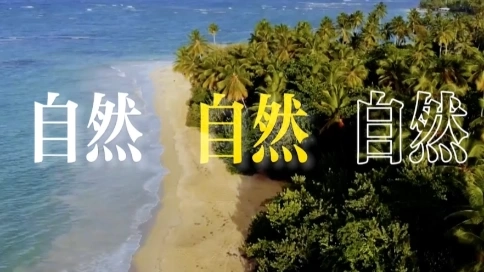 pr視頻剪輯