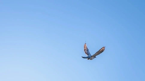 海拉尔随拍，旅拍