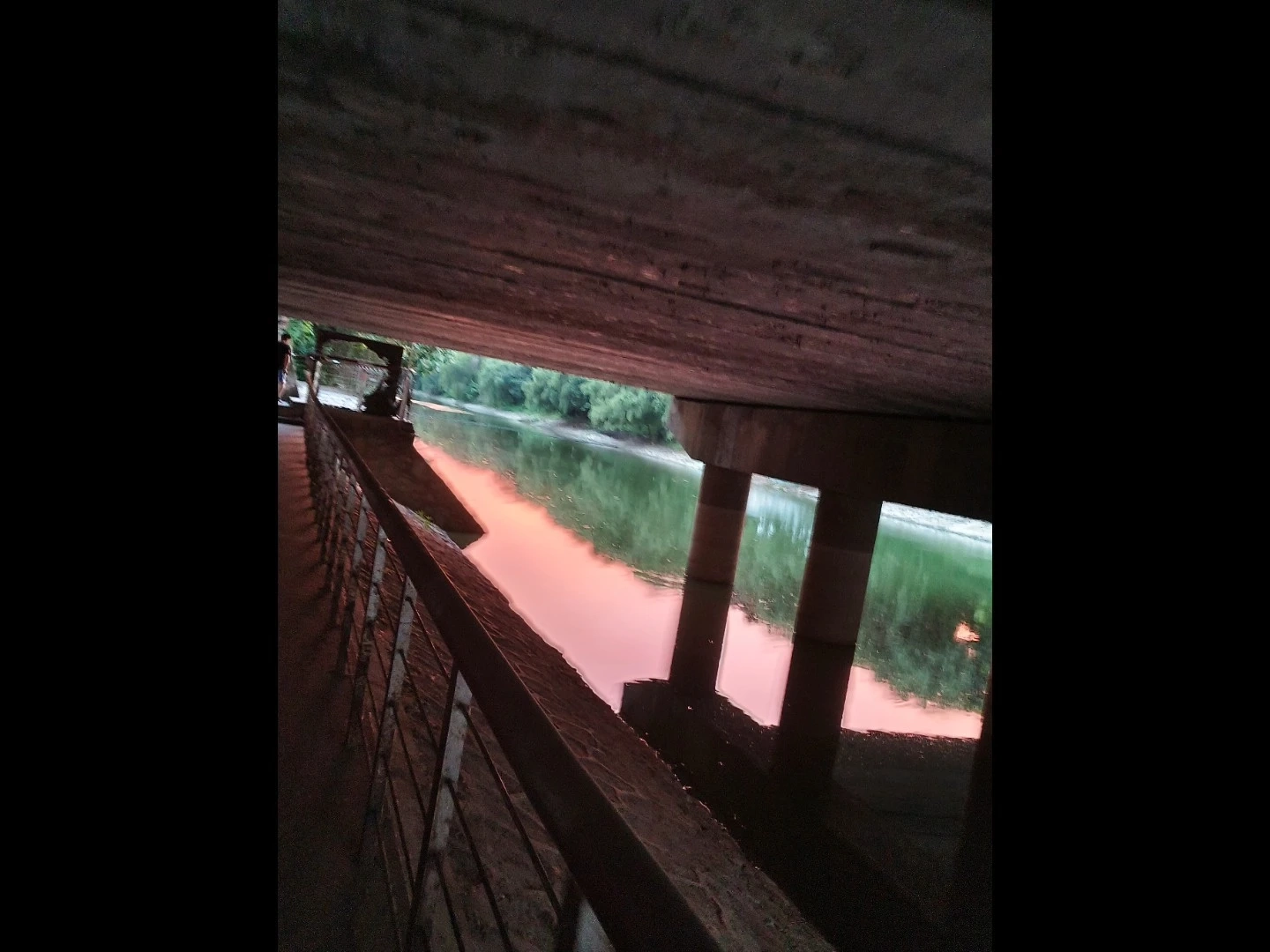 美