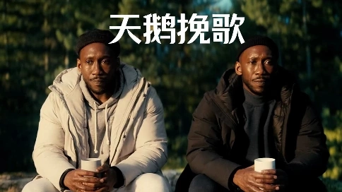 多部影視混剪