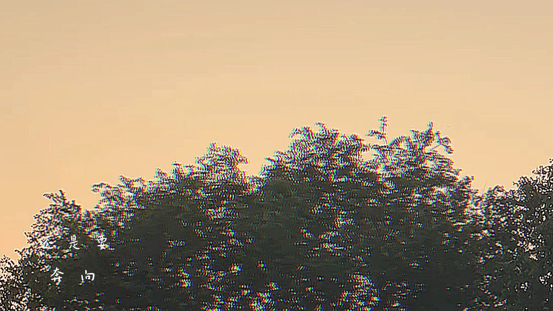 記錄生活
