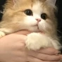 視頻剪輯