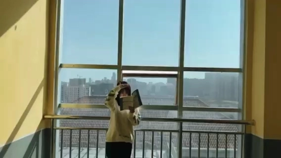 Vlog