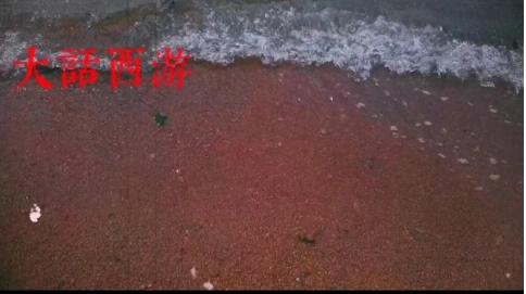 去海邊旅游