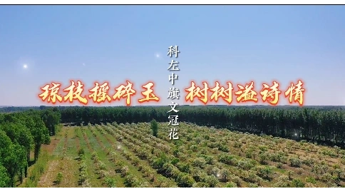 視頻剪輯制作 特效包裝