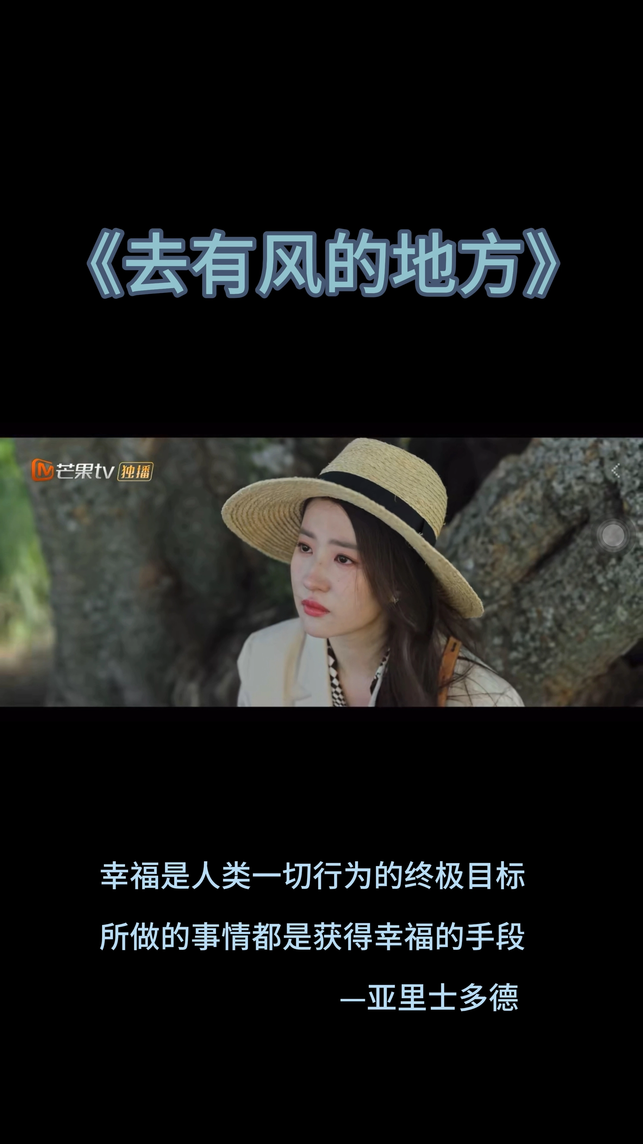 影視混剪作品