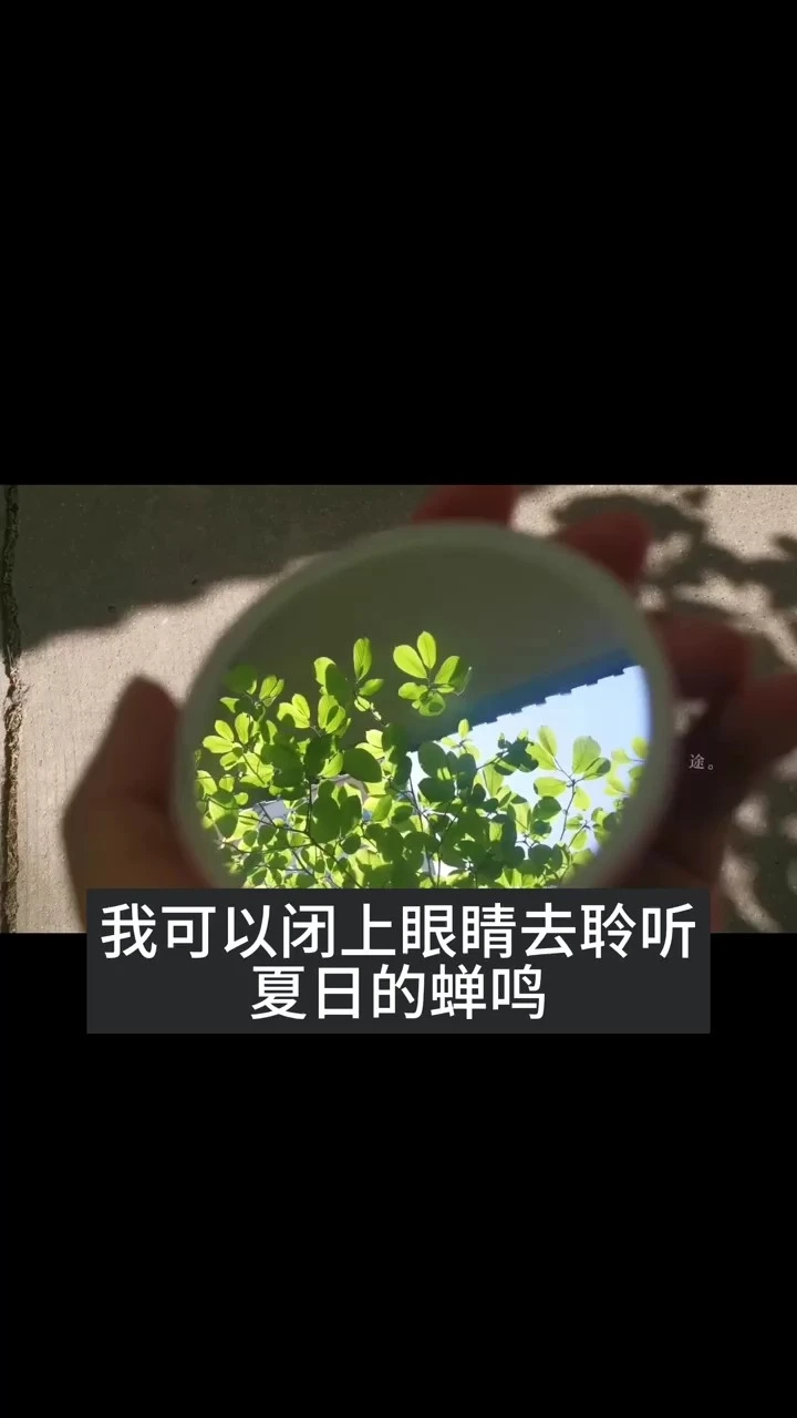 視頻混剪