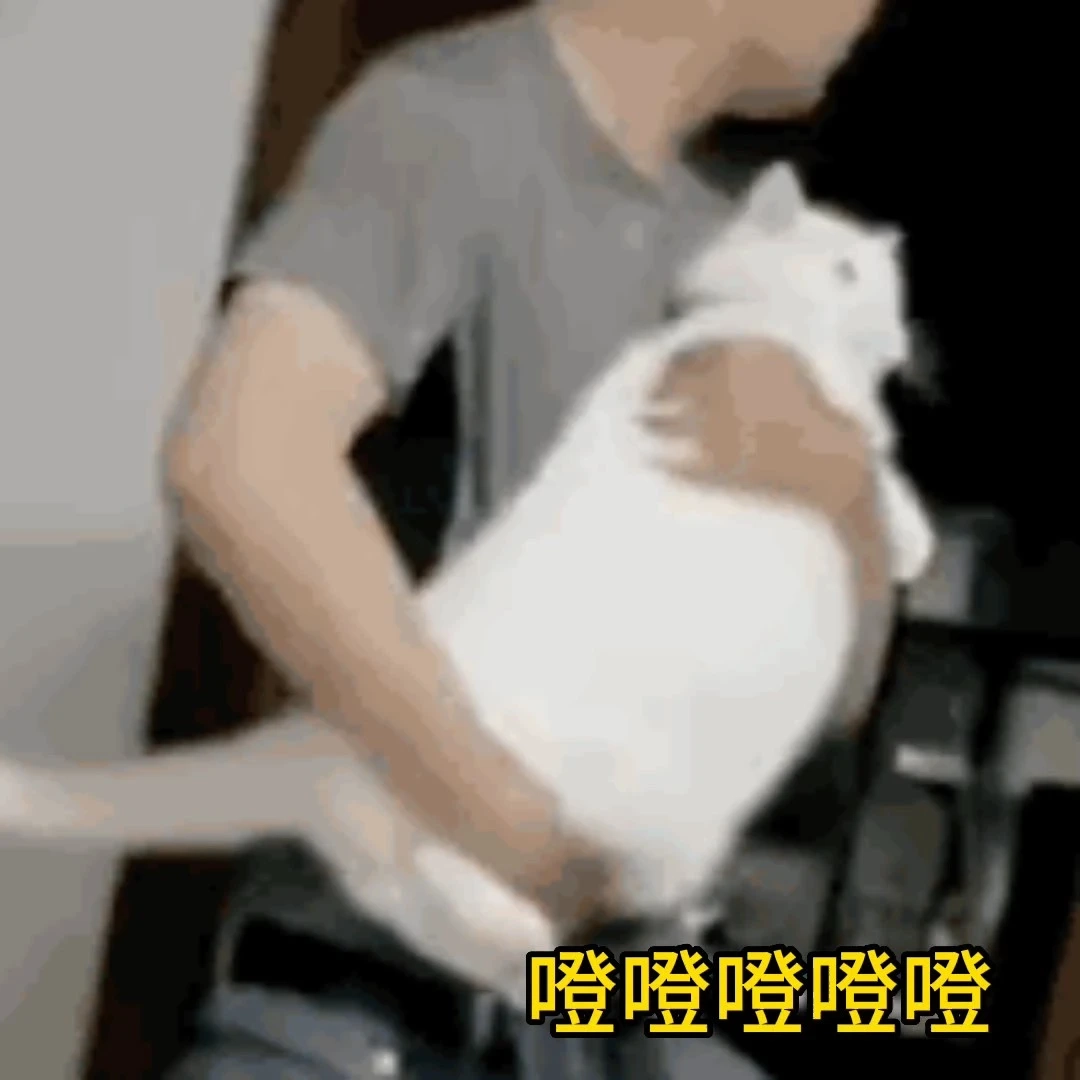 短視頻剪輯