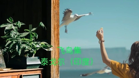 飛鳥集001