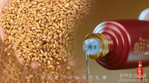 磁性温情广告配音#一粒麦子，如何经制酒师的巧手造化，变成夏日对世间的礼赠？ 好声音，找大音！