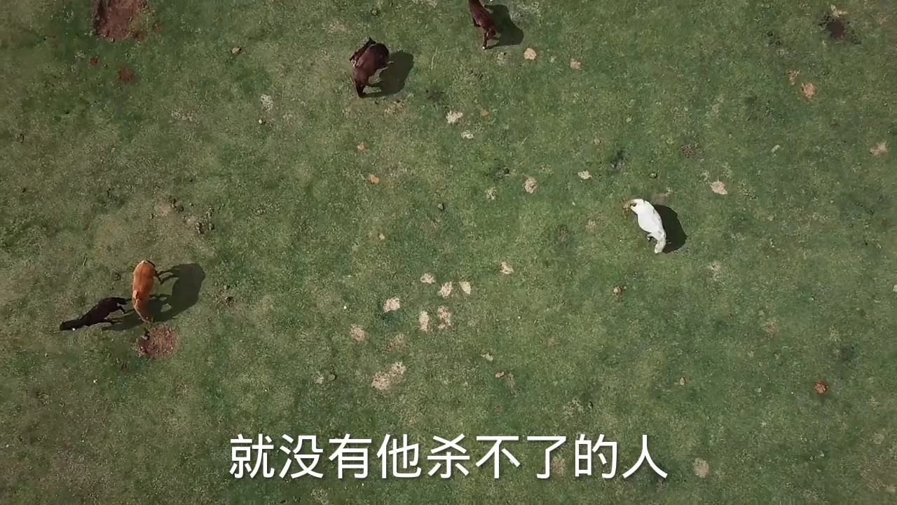 殺手的愛情