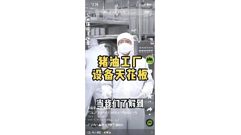 山林里有機(jī)草飼黑豬油