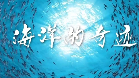 磁性人文配音  电影《巨齿鲨2 》“海洋的奇迹”主题视频！ 好声音，找大音！
