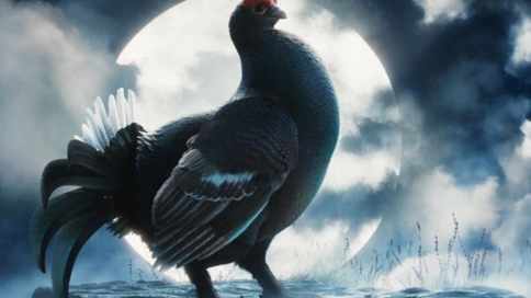 月光变身鸡——超写实动物CG动画