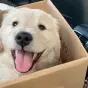 影視剪輯